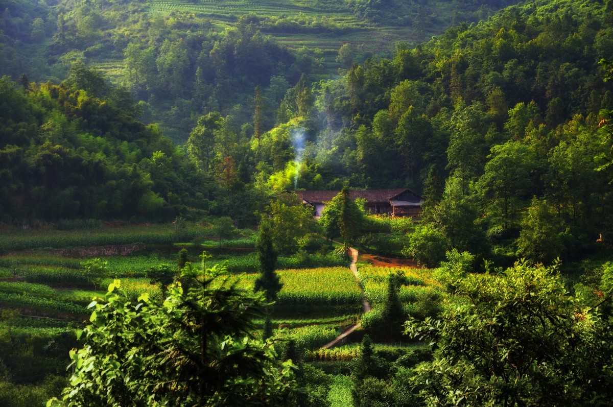 彭水石盘乡避暑拍的片片