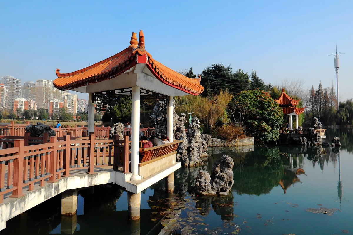 初冬合肥瑶海公园恭贺好友晚之秋荣任索尼a7rii版主