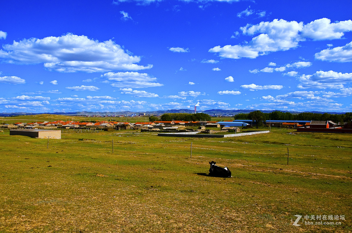 坝上行-------草原记忆