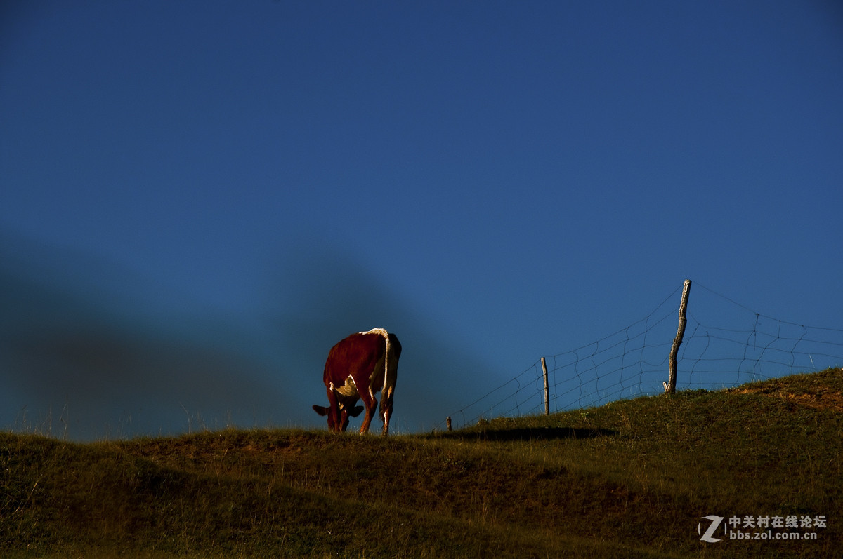 坝上行-------草原记忆