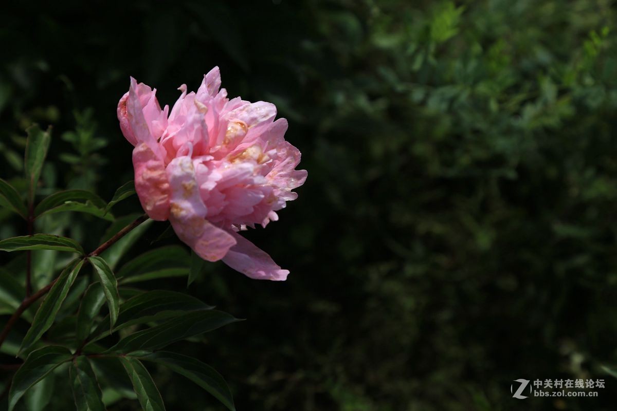 好久没有来了，怎么我的帐号都没有了呢？