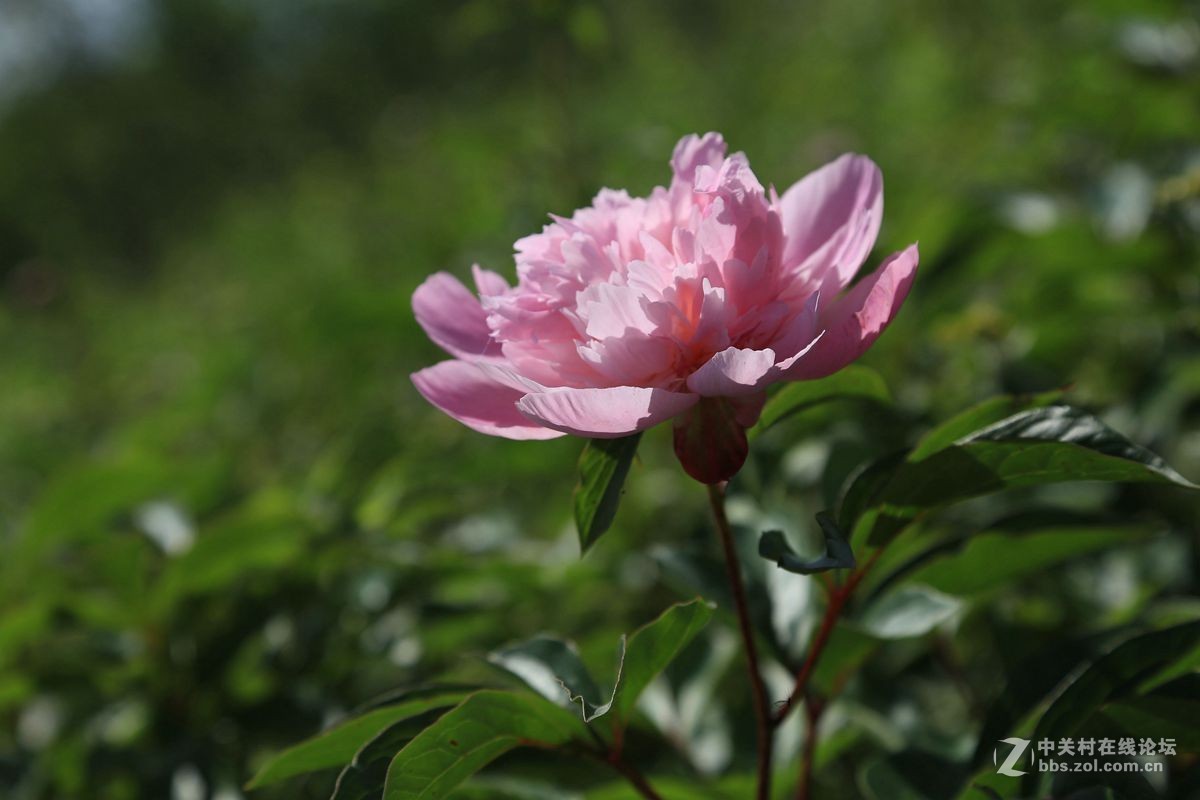 好久没有来了，怎么我的帐号都没有了呢？