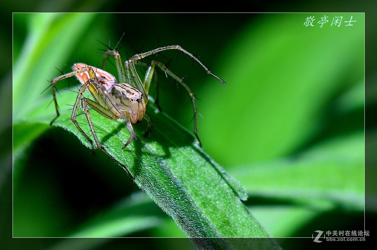 #版主坐堂# 【南京星空(中国)】2016年7月部分优秀作品欣赏