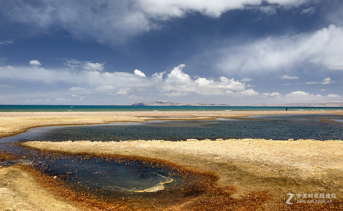 #版主坐堂# 【南京星空(中国)】2016年7月部分优秀作品欣赏