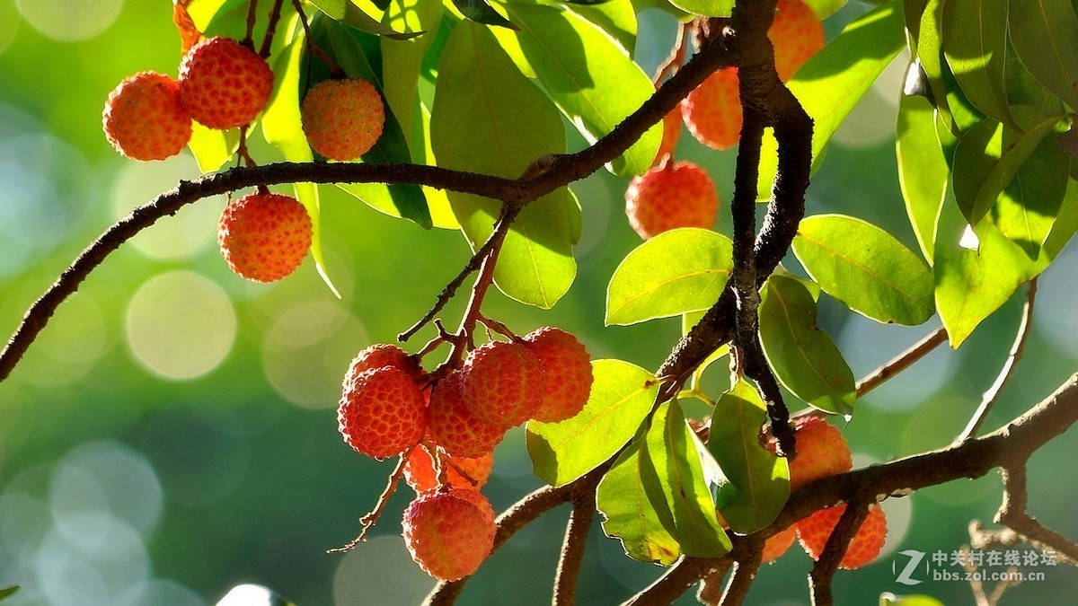 #版主坐堂# 【南京星空(中国)】2016年7月部分优秀作品欣赏