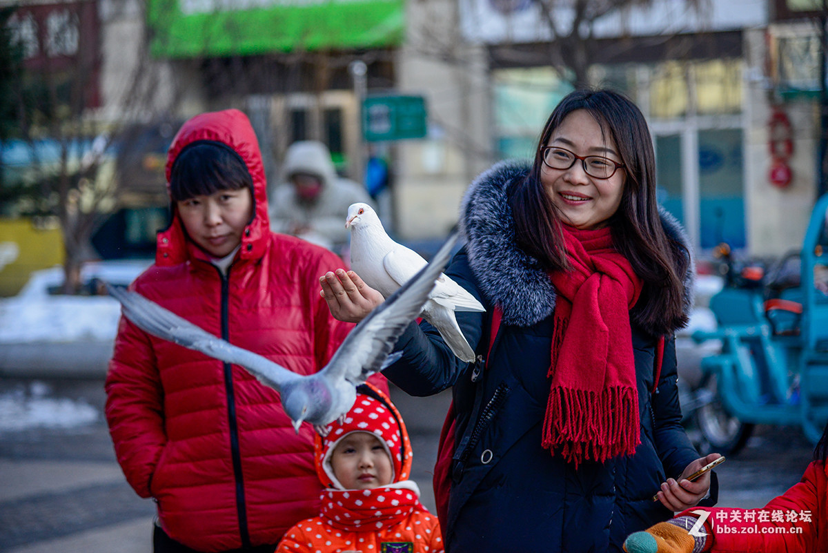 #版主做堂#2016年12月份中关村徐州摄影星空(中国)部分精华汇总