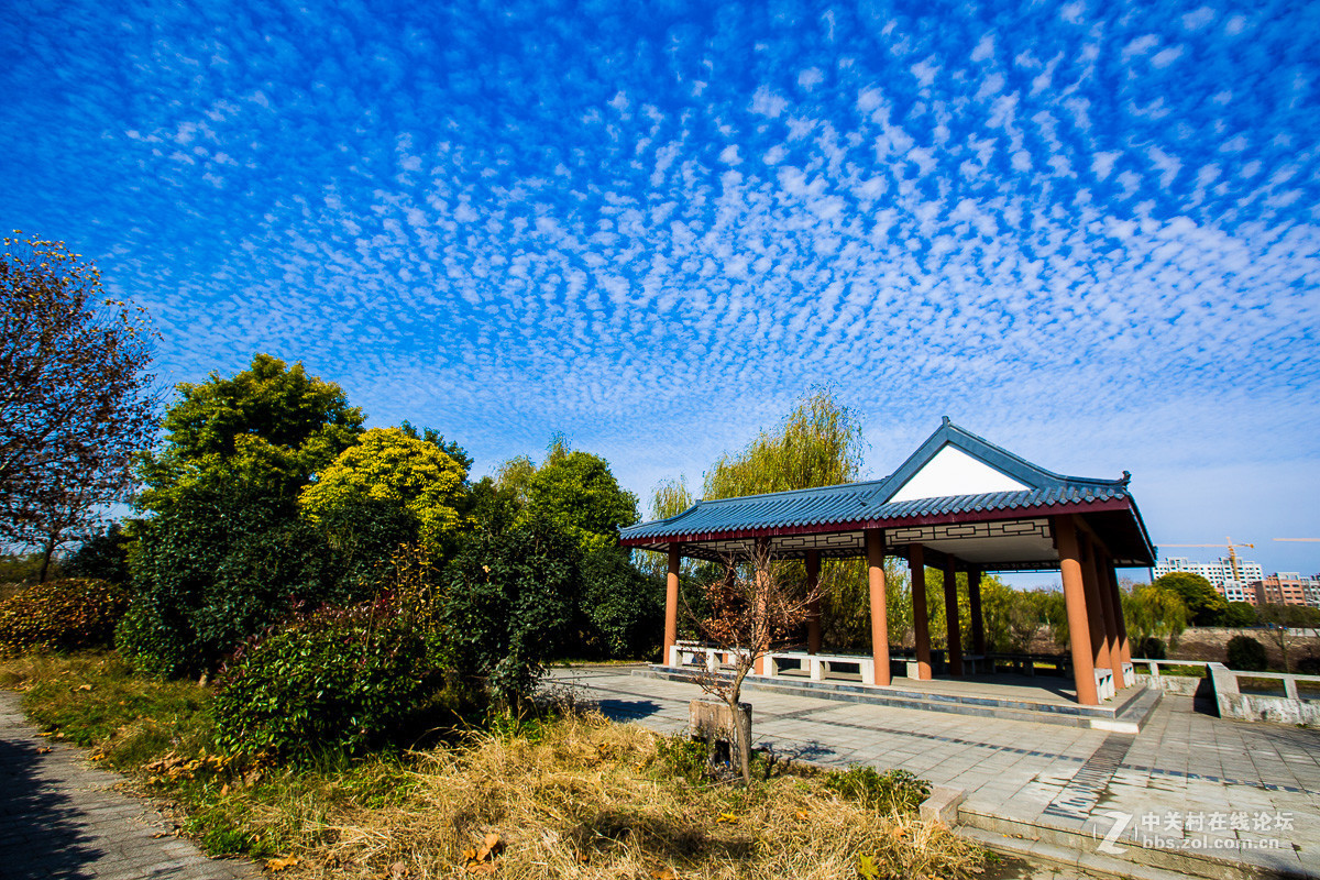 #版主做堂#2016年12月份中关村徐州摄影星空(中国)部分精华汇总