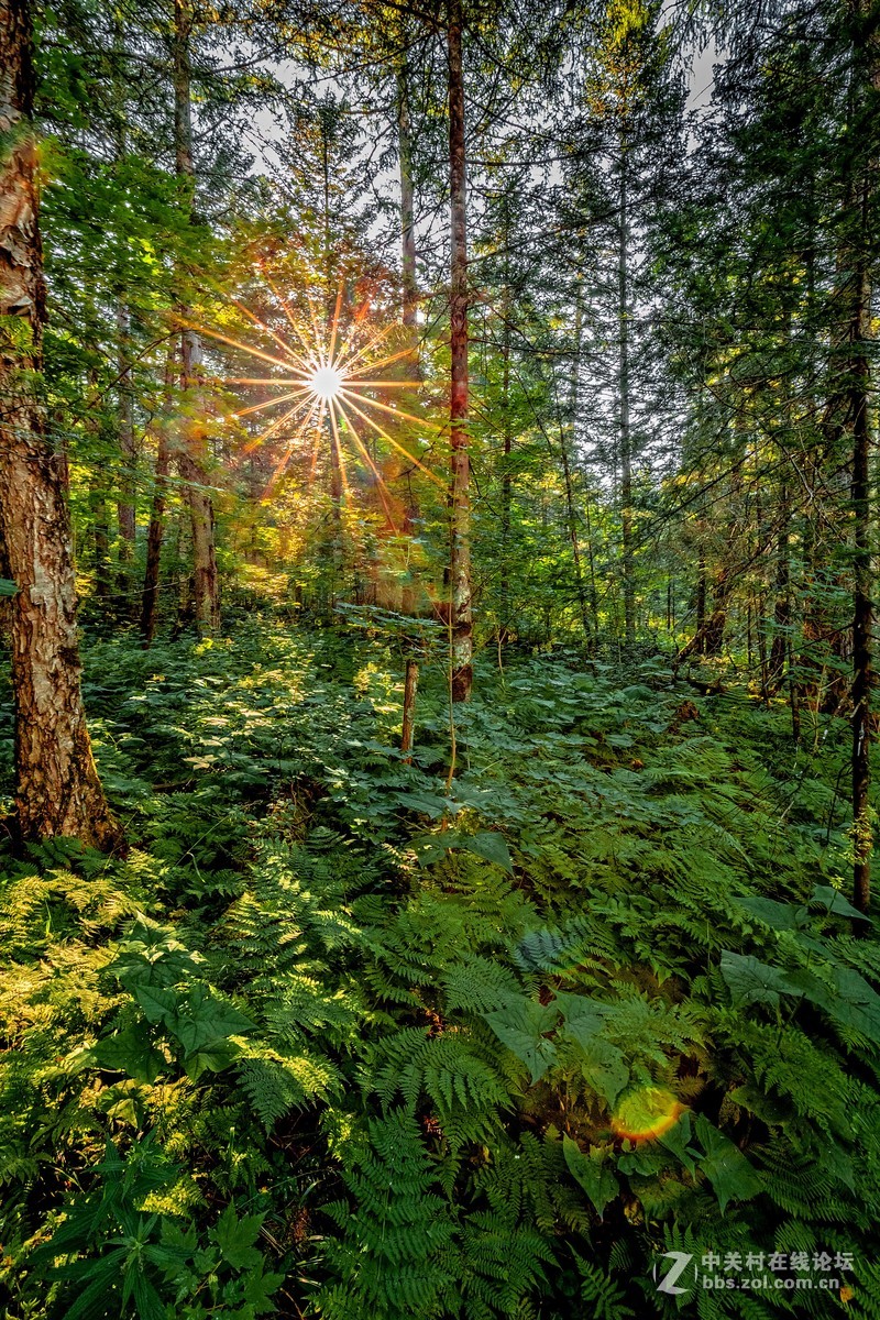 #版主做堂#2016年12月份中关村徐州摄影星空(中国)部分精华汇总