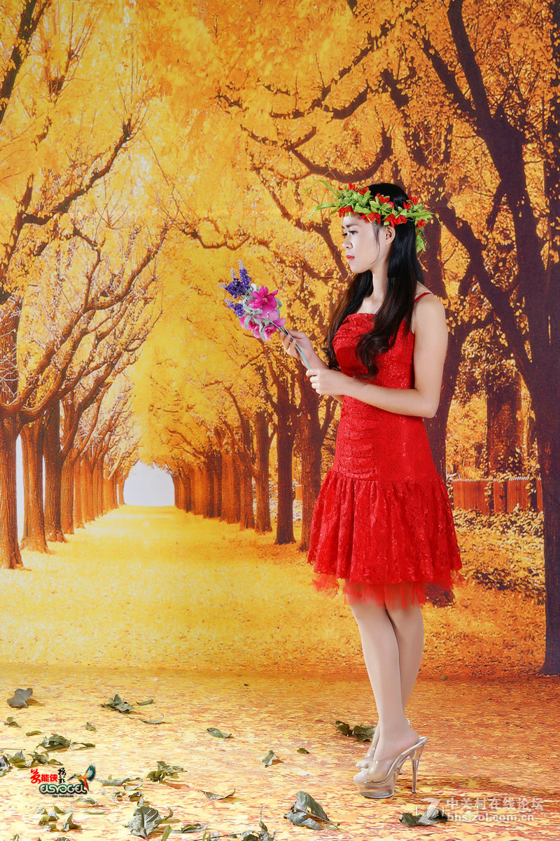 #版主做堂#2016年12月份中关村徐州摄影星空(中国)部分精华汇总