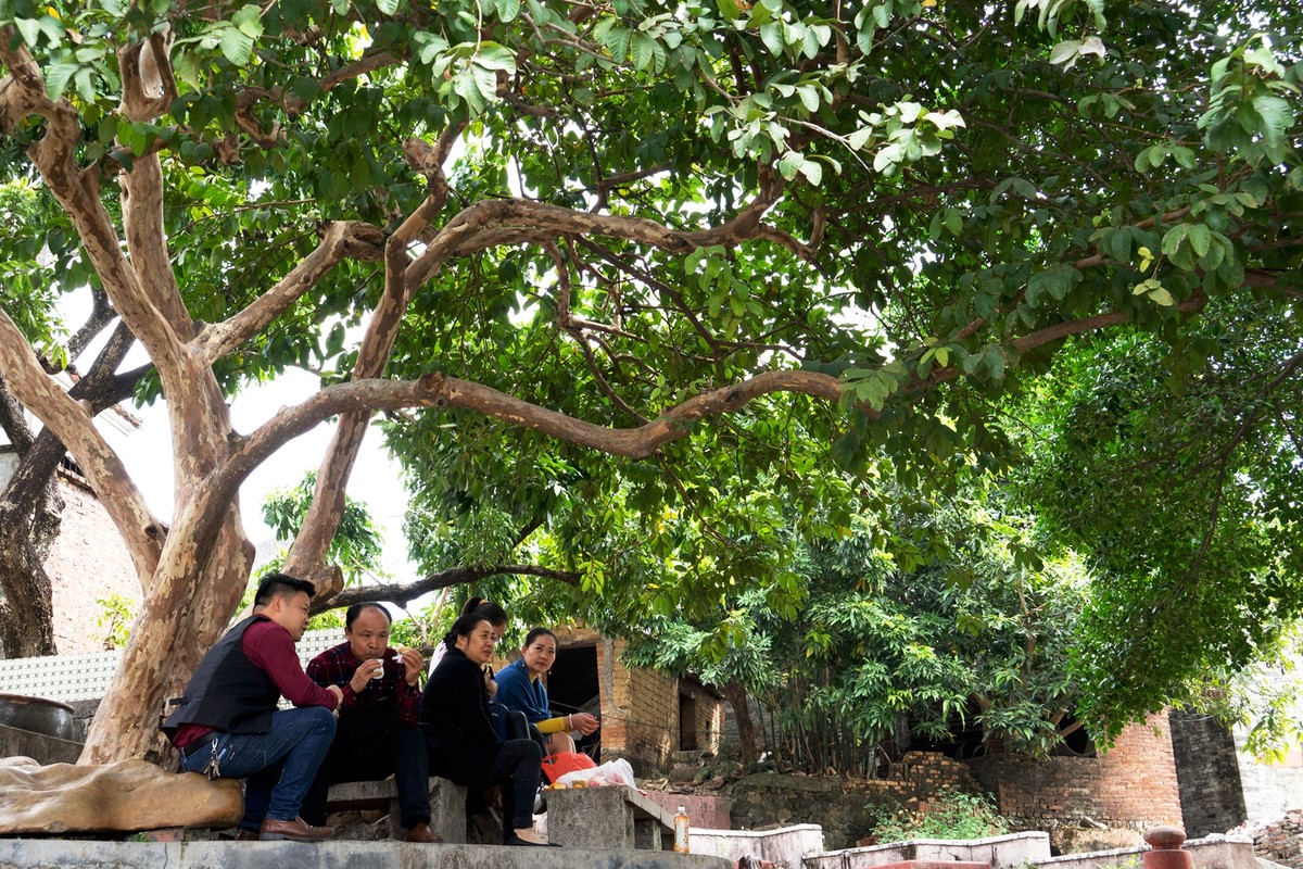 a7M2+美能达AF-24-85MM F3.5-4.5镜头 ( 东莞南社明清古村落 )