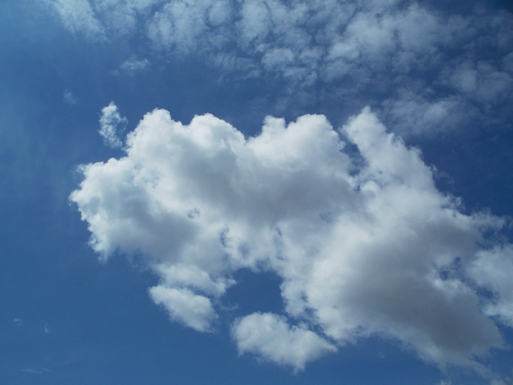 漫山遍野金达莱