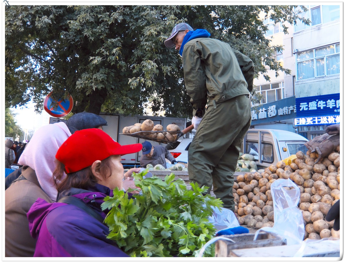 中秋节前，冬储土豆上市了。