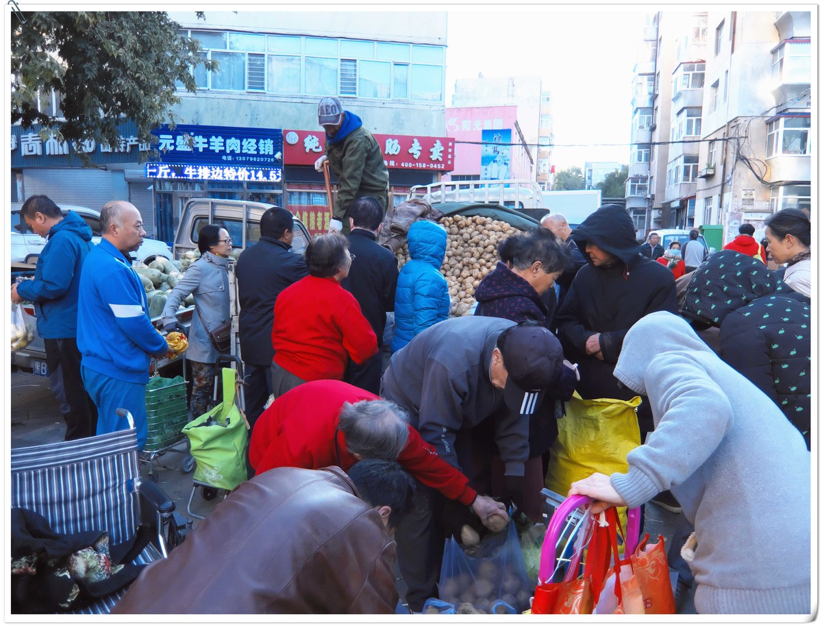 中秋节前，冬储土豆上市了。