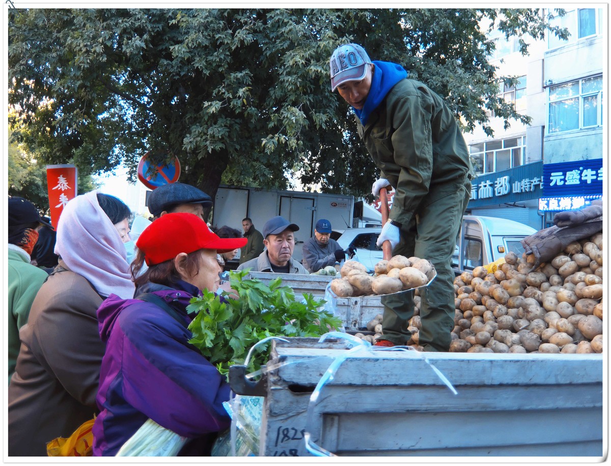 中秋节前，冬储土豆上市了。