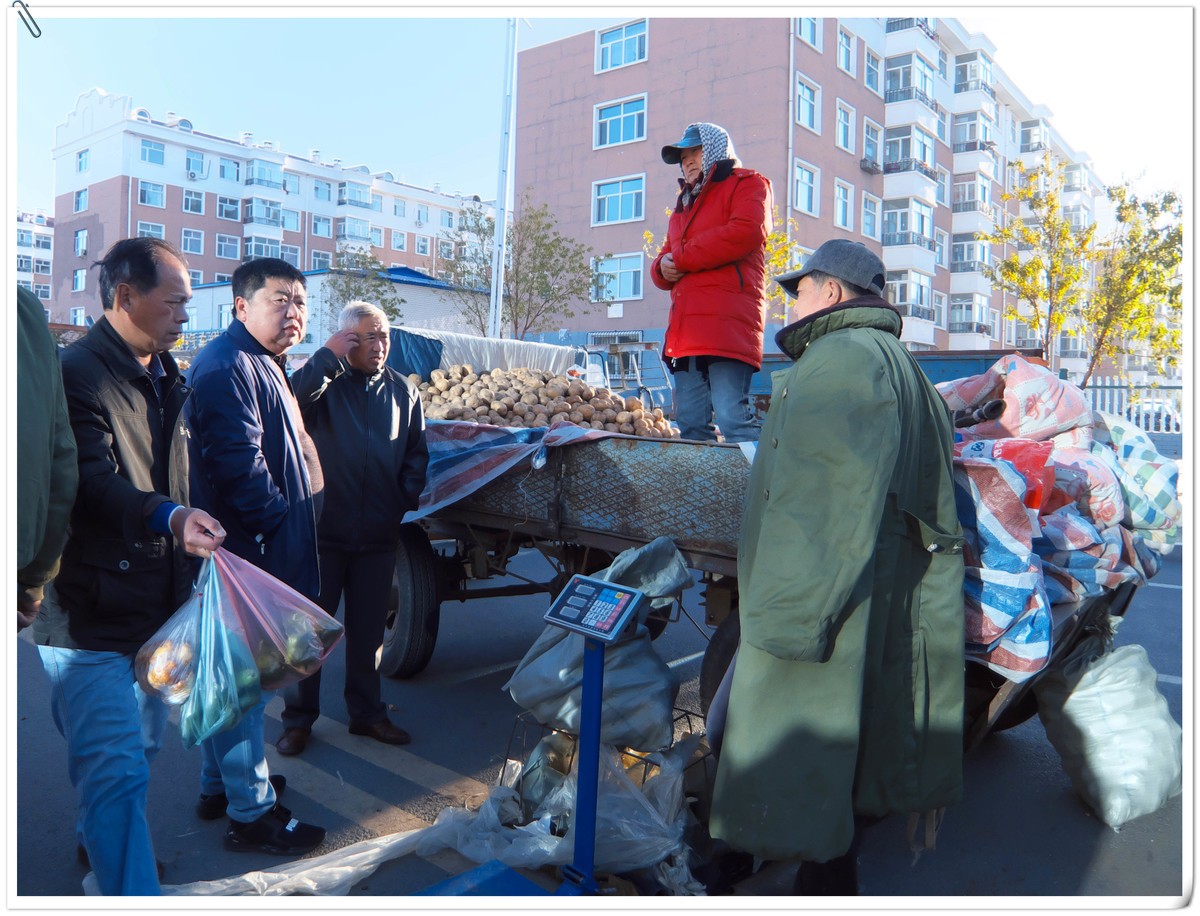 中秋节前，冬储土豆上市了。
