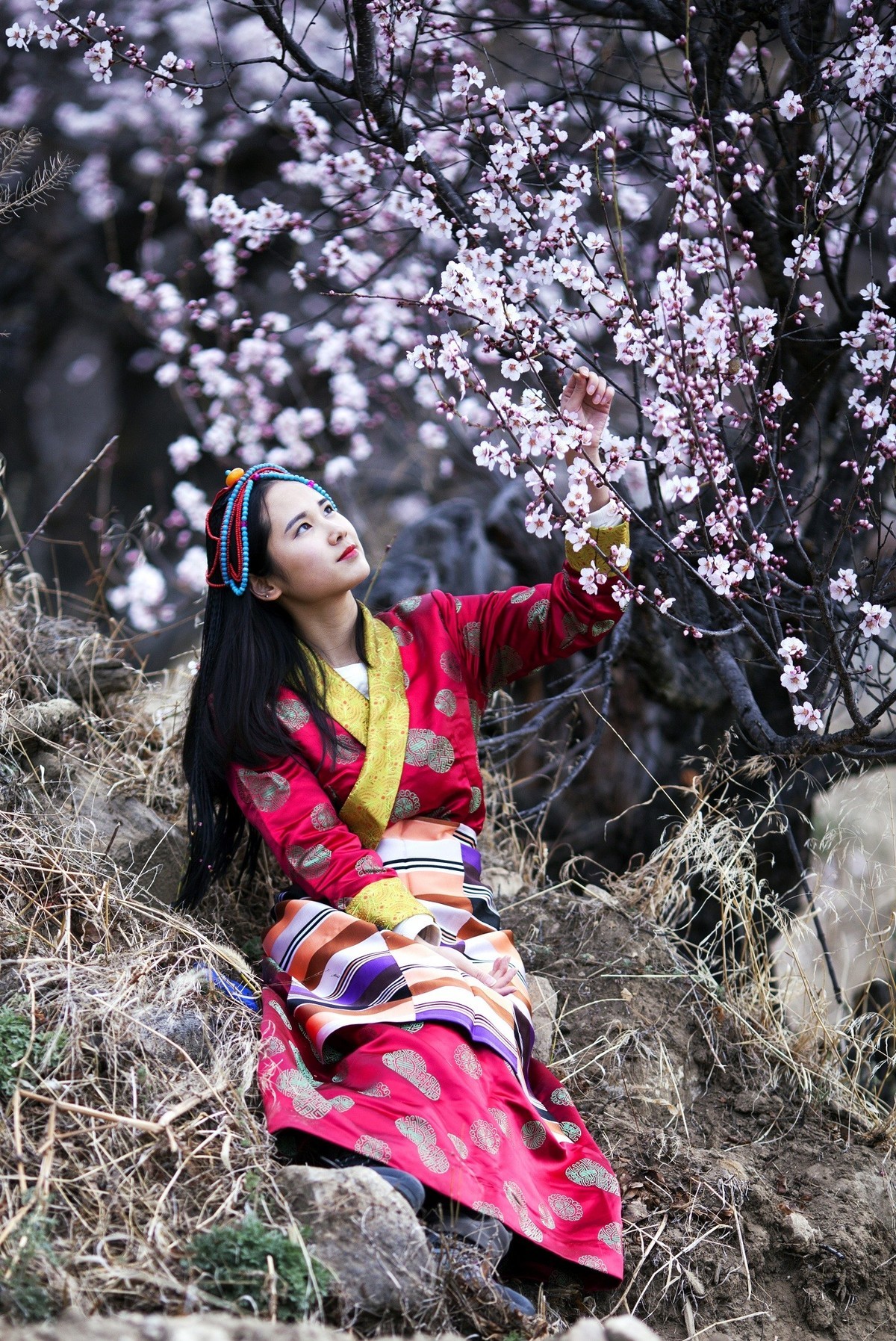 林芝桃花然乌湖雅鲁藏布大峡谷南迦巴瓦
