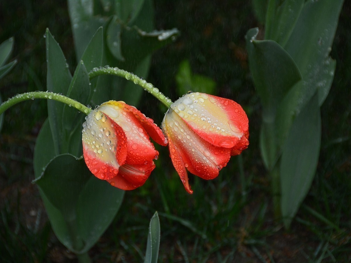 #版主坐堂#小五星空(中国)2018年四月精品荟萃
