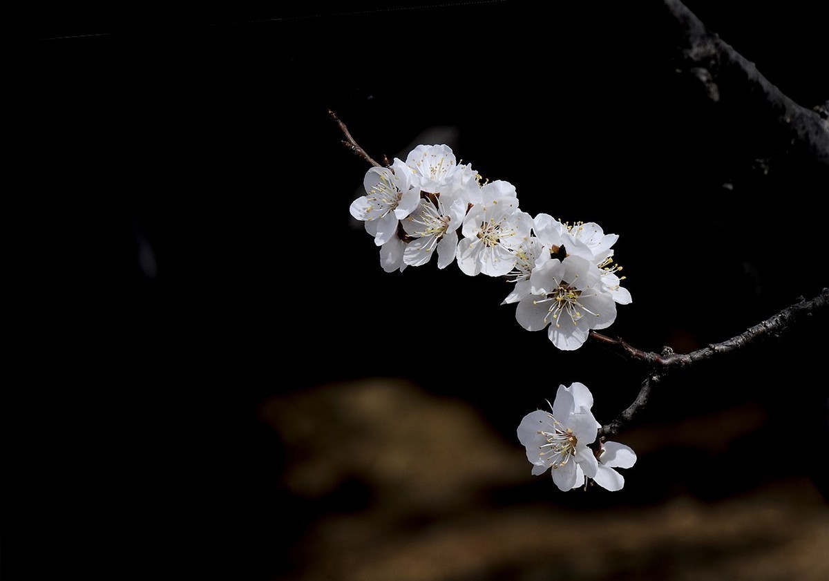 #版主坐堂#小五星空(中国)2018年四月精品荟萃