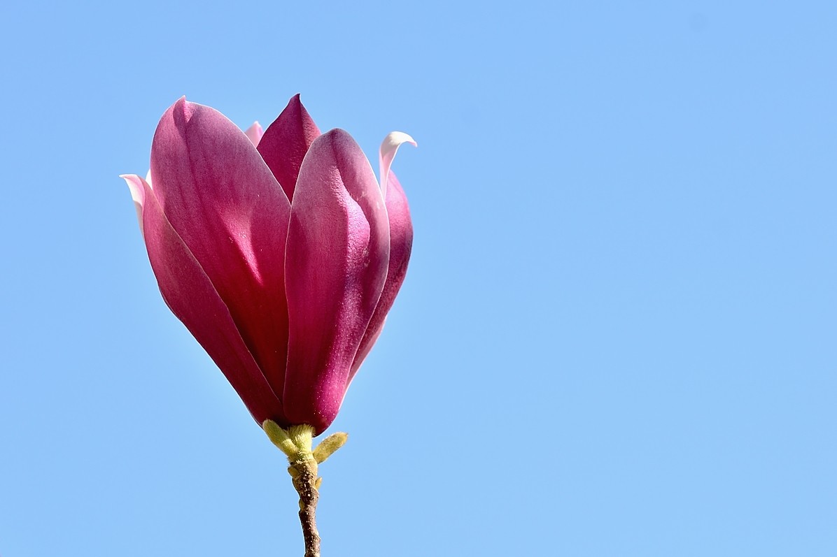 #版主坐堂#小五星空(中国)2018年四月精品荟萃