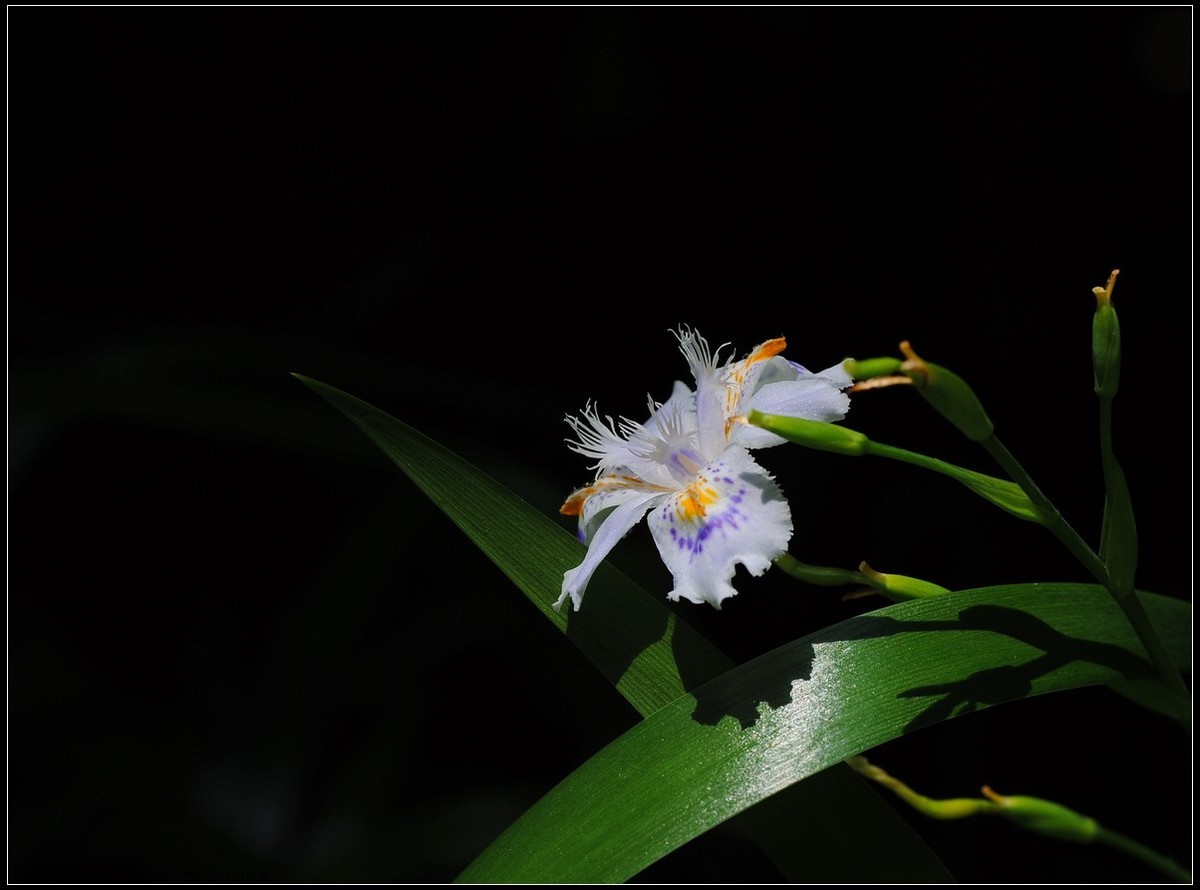 #版主坐堂#小五星空(中国)2018年四月精品荟萃