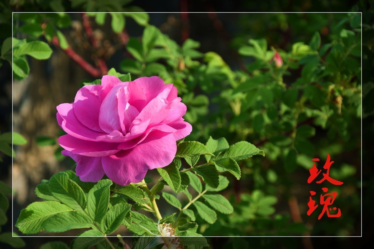 #版主坐堂#小五星空(中国)2018年四月精品荟萃