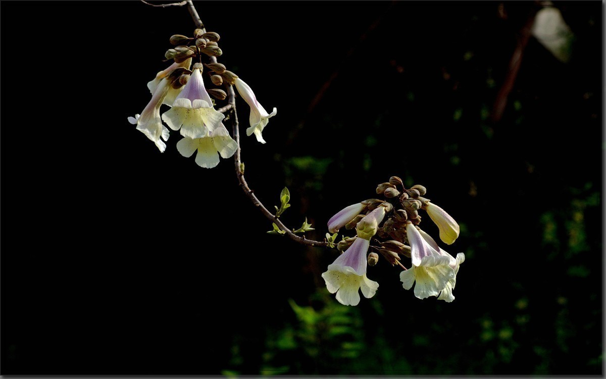 #版主坐堂#小五星空(中国)2018年四月精品荟萃