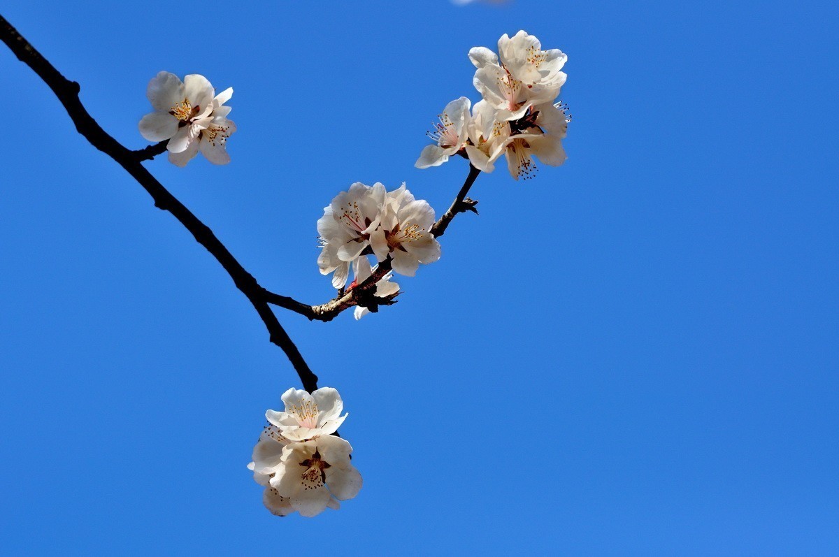 #版主坐堂#小五星空(中国)2018年四月精品荟萃