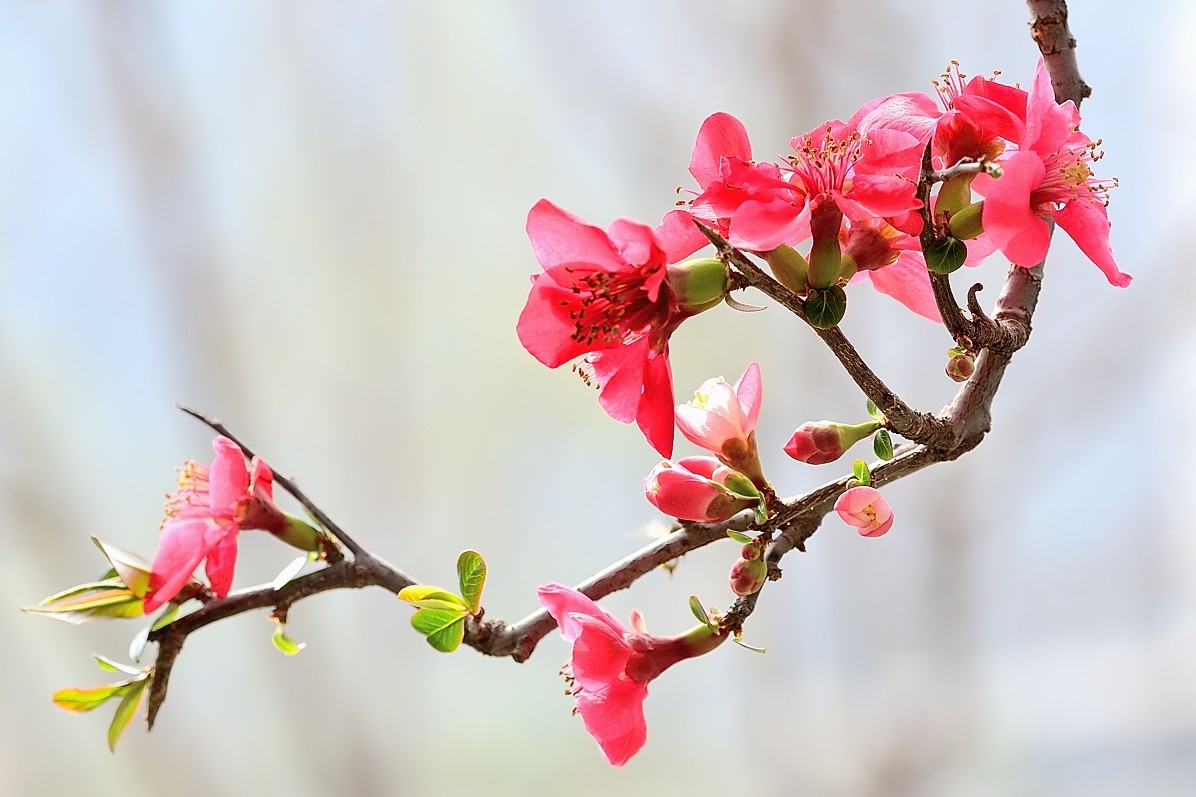 #版主坐堂#小五星空(中国)2018年四月精品荟萃