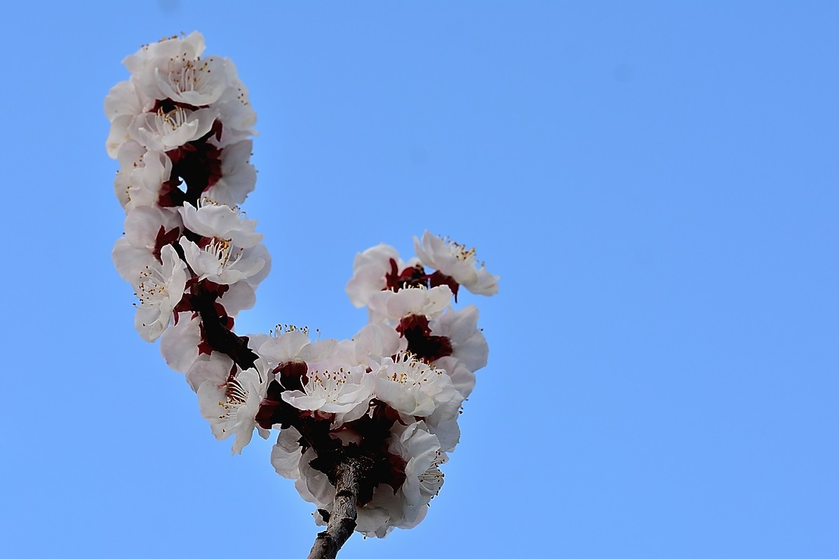 #版主坐堂#小五星空(中国)2018年四月精品荟萃