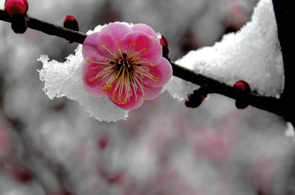 #版主坐堂#小五星空(中国)2018年四月精品荟萃