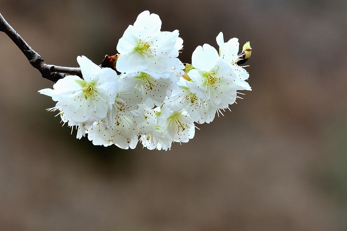 #版主坐堂#小五星空(中国)2018年四月精品荟萃