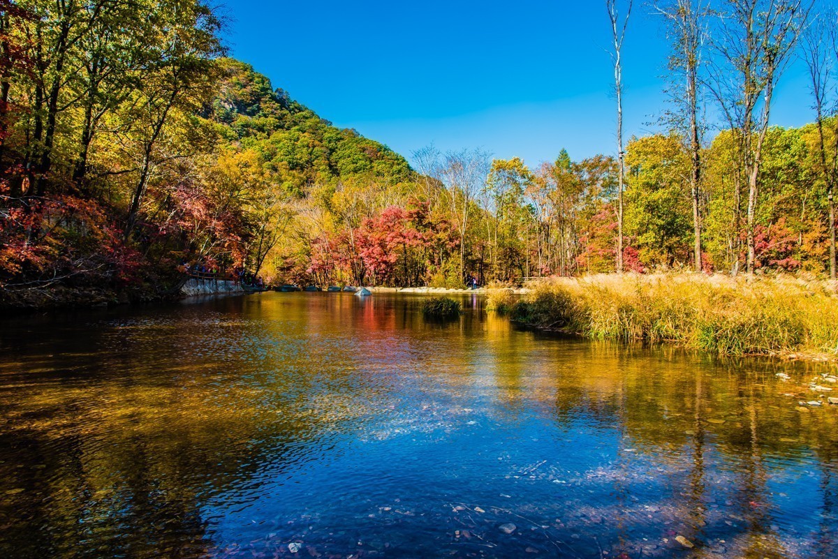 #版主坐堂#小五星空(中国)2018年四月精品荟萃
