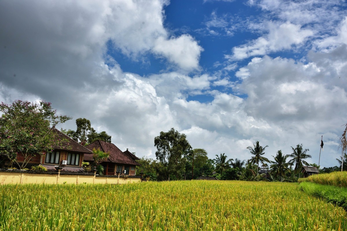 #版主坐堂#小五星空(中国)2018年四月精品荟萃