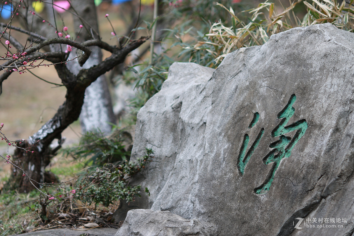 7d兔子拍人也不错～～～～～～～