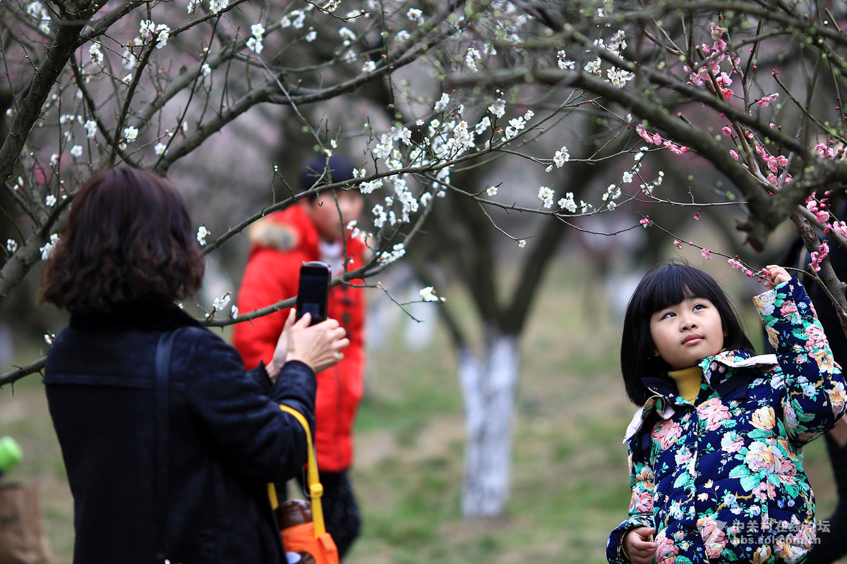 7d兔子拍人也不错～～～～～～～