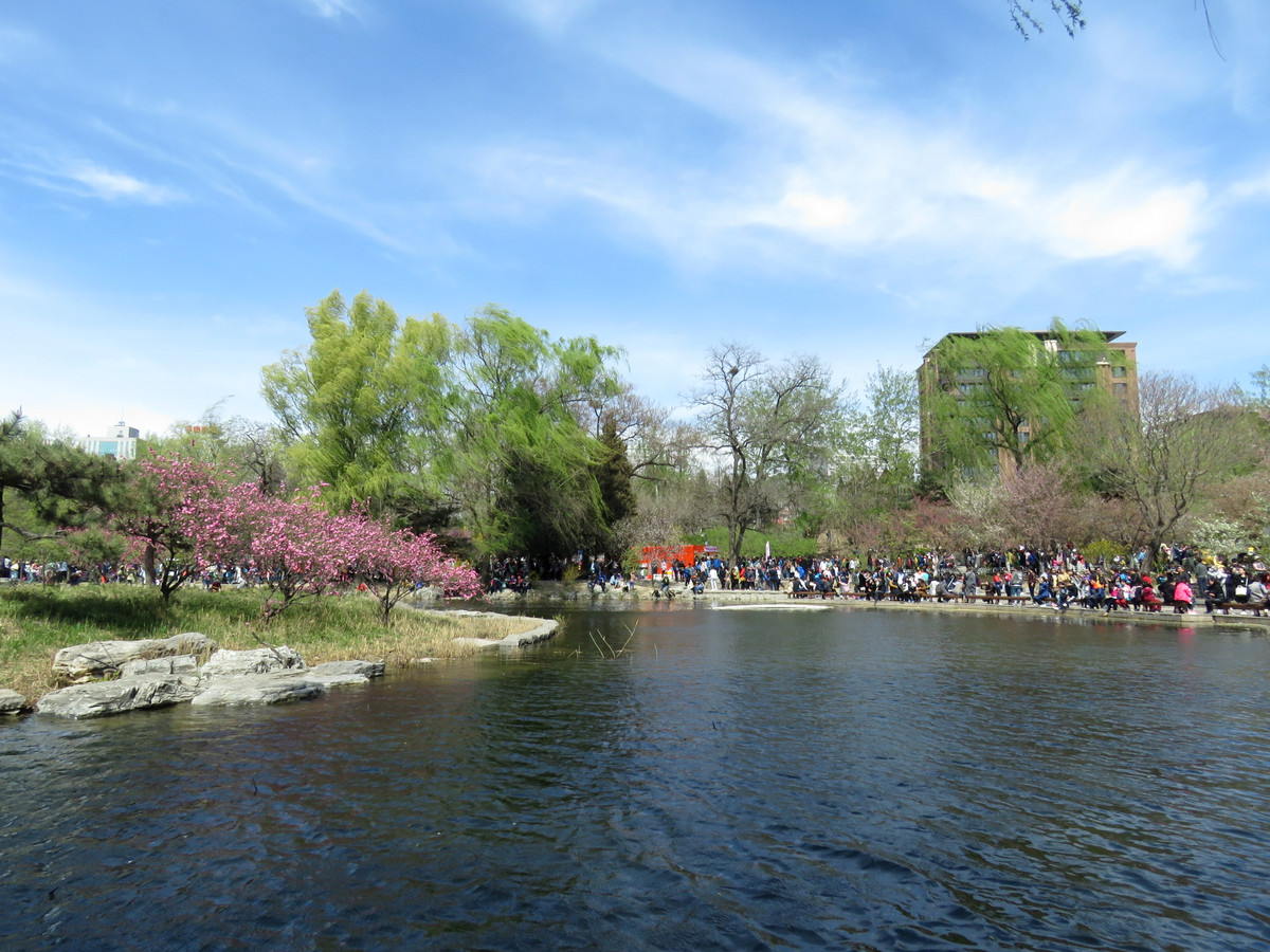 玉渊潭公园踏青随拍
