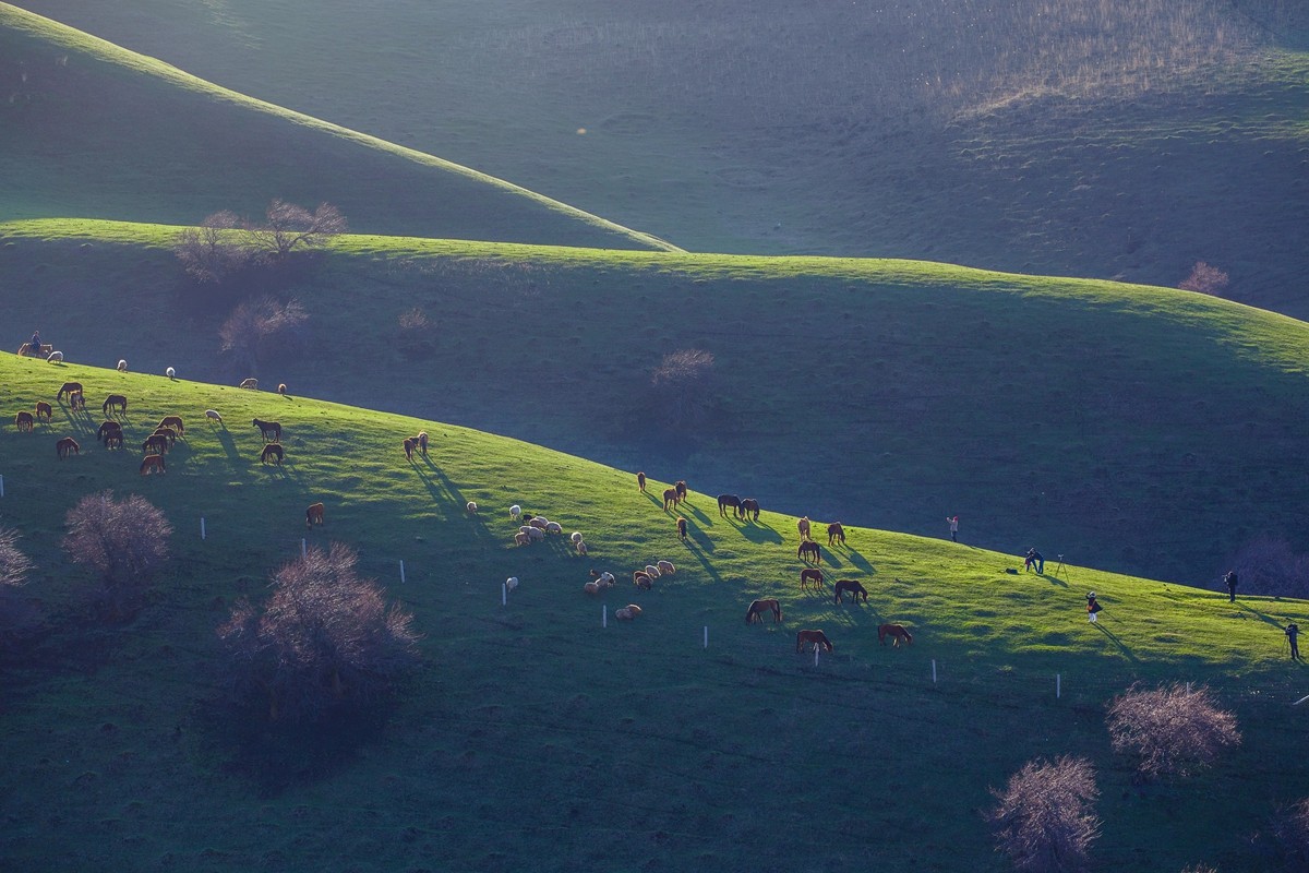 新源杏花沟（四）