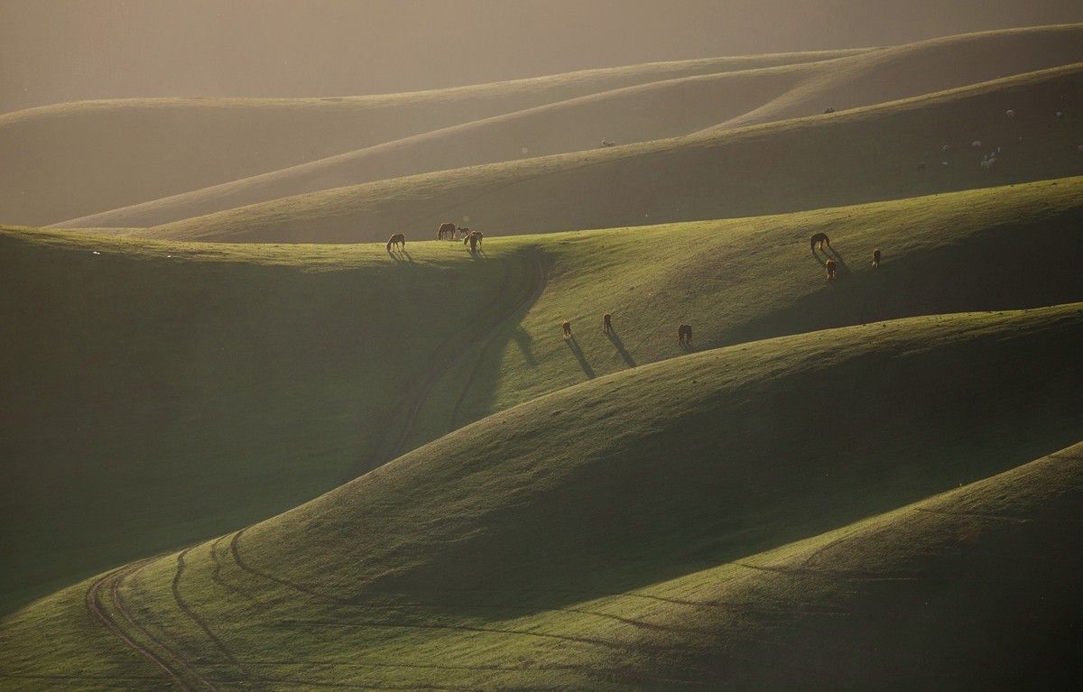 新源杏花沟（四）