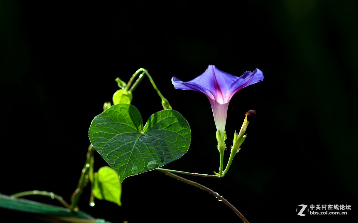 #版主坐堂# 《人文纪实星空(中国)》2016年7月优秀作品选编