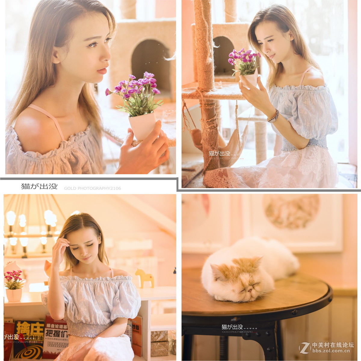 S50 F1.4ART(猫出没咖啡馆....人像)