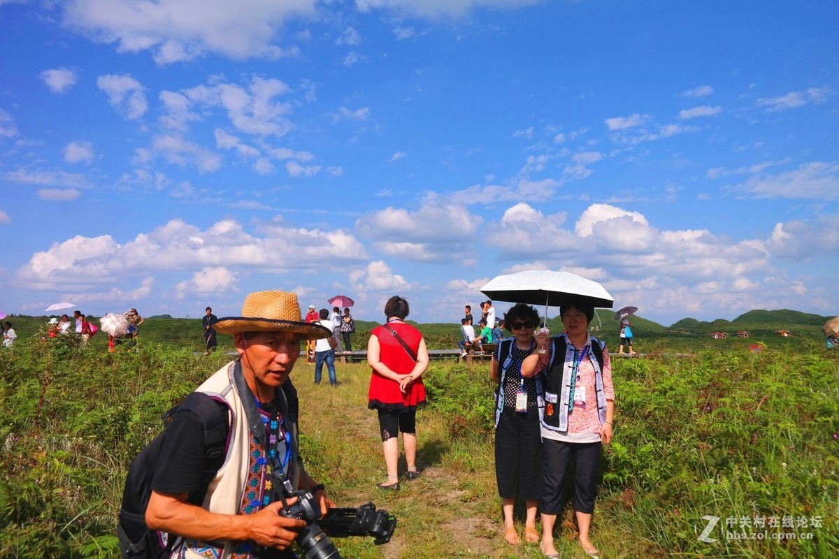 贵州百里杜鹃休闲避暑所见狂拍（四）