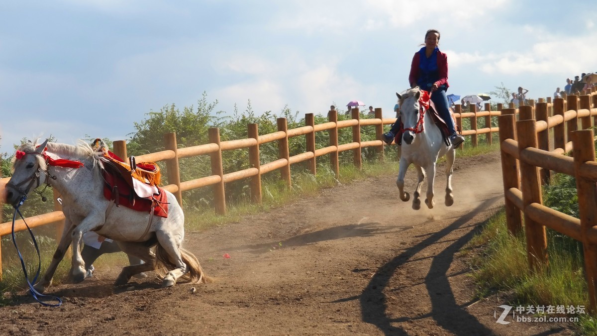 贵州百里杜鹃休闲避暑所见狂拍（四）