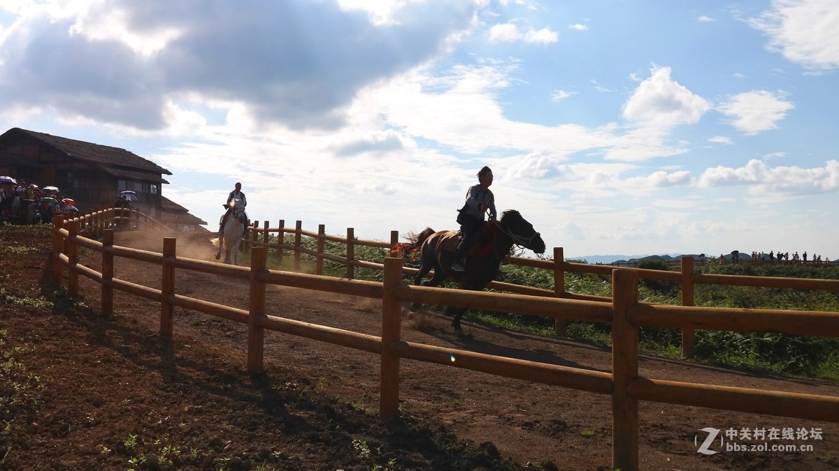 贵州百里杜鹃休闲避暑所见狂拍（四）