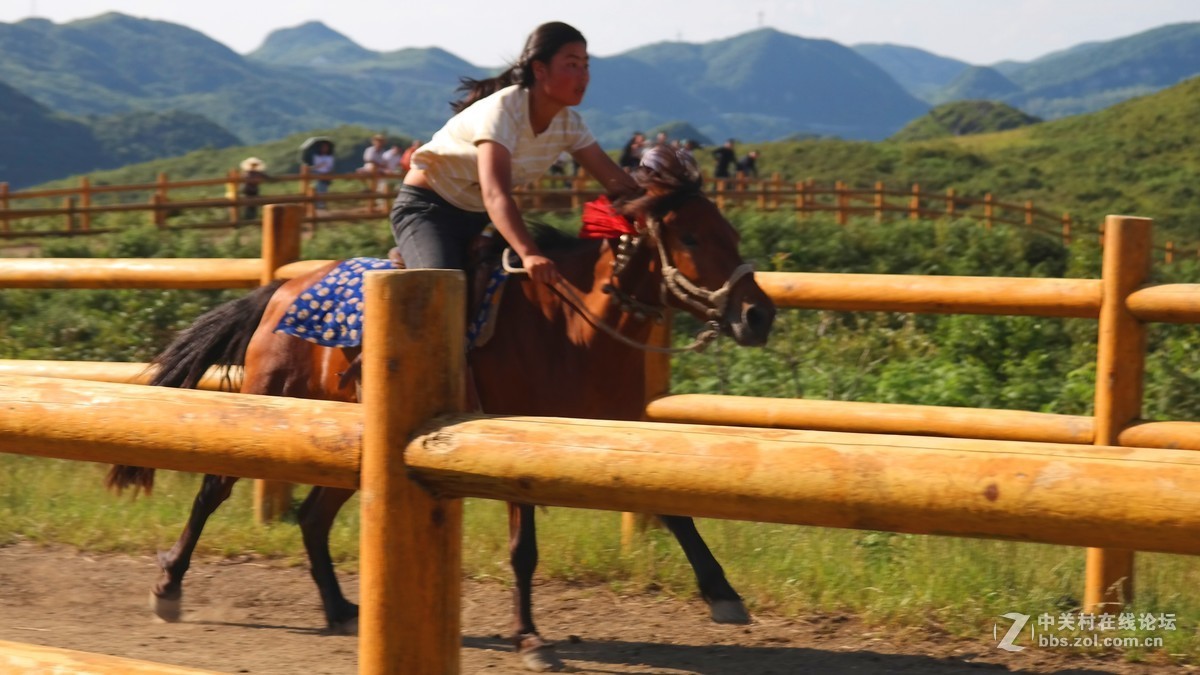贵州百里杜鹃休闲避暑所见狂拍（四）