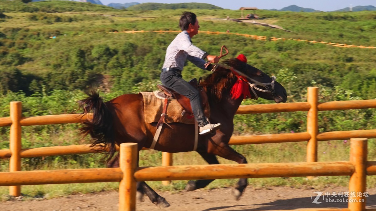 贵州百里杜鹃休闲避暑所见狂拍（四）