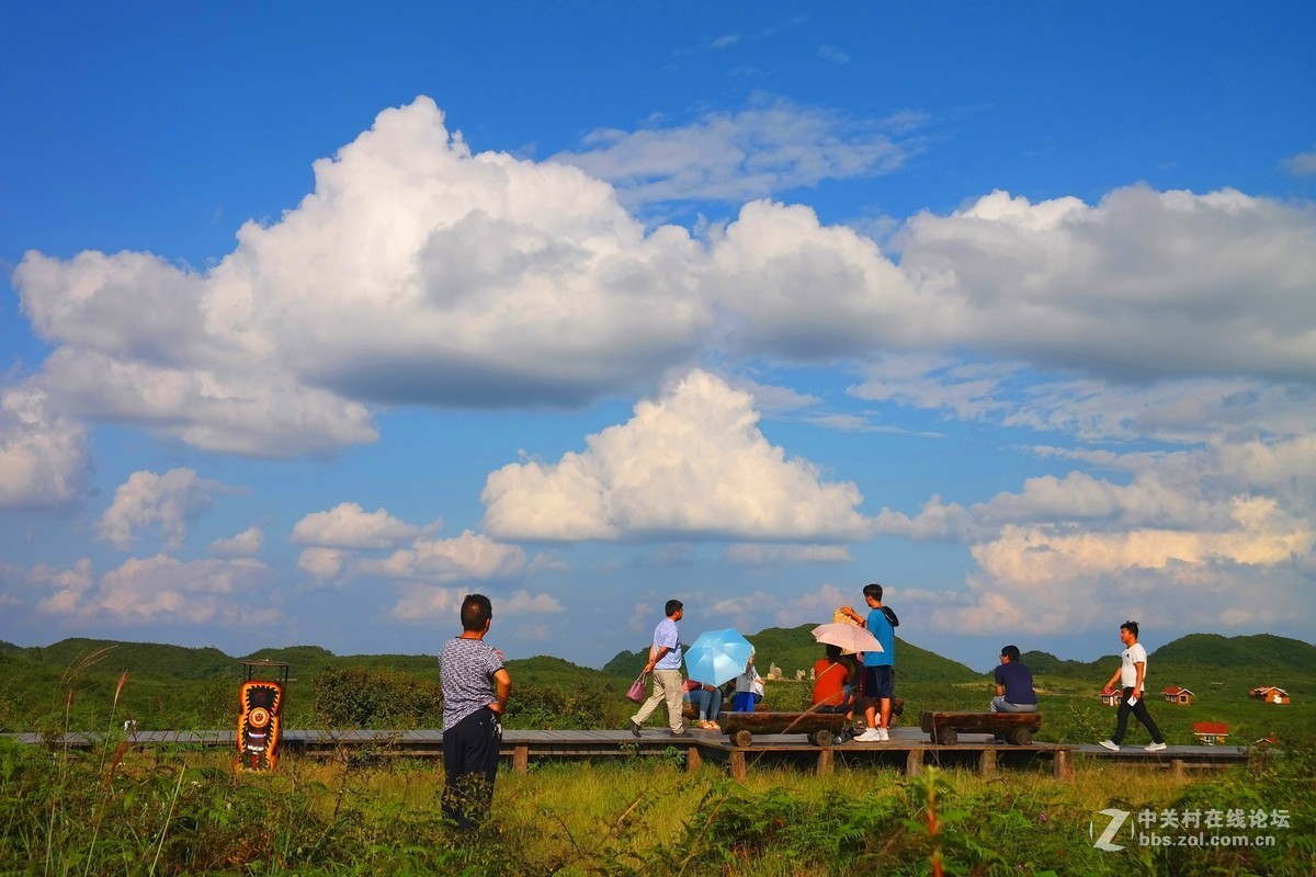 贵州百里杜鹃休闲避暑所见狂拍（四）