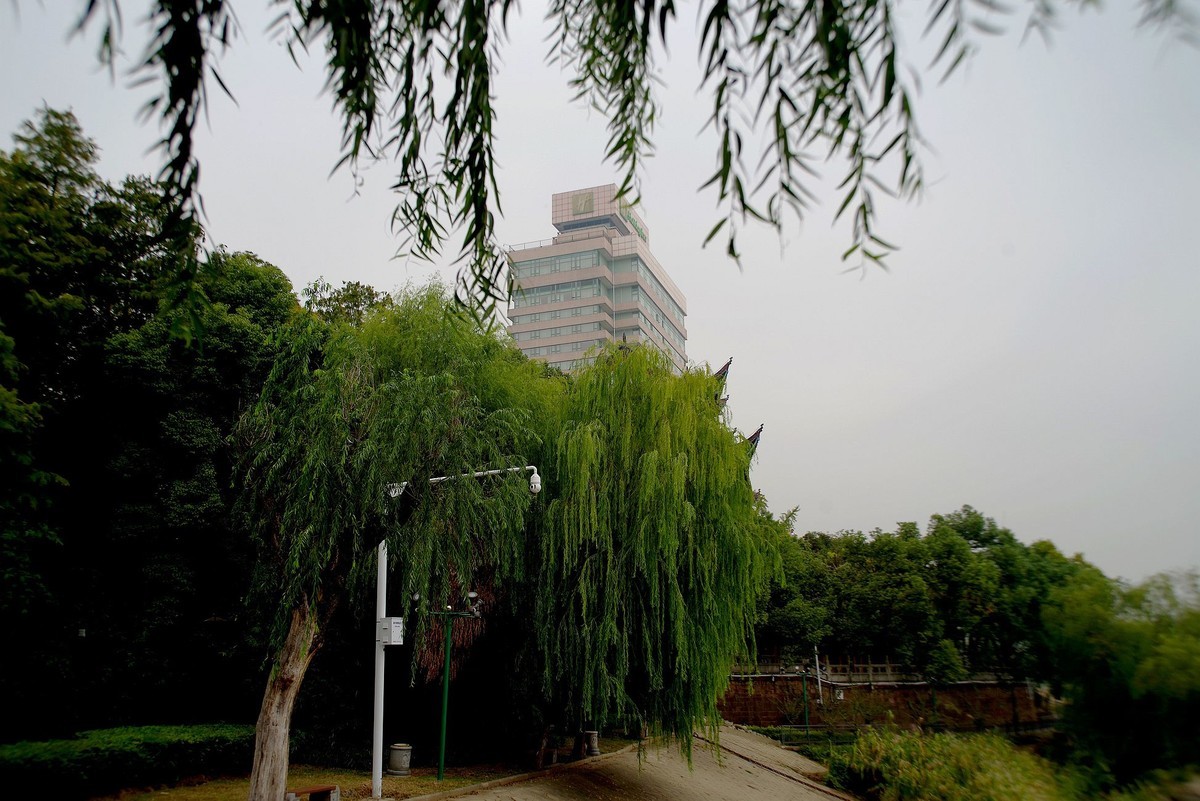 武汉印象----汉阳江边随拍！。。。。。。