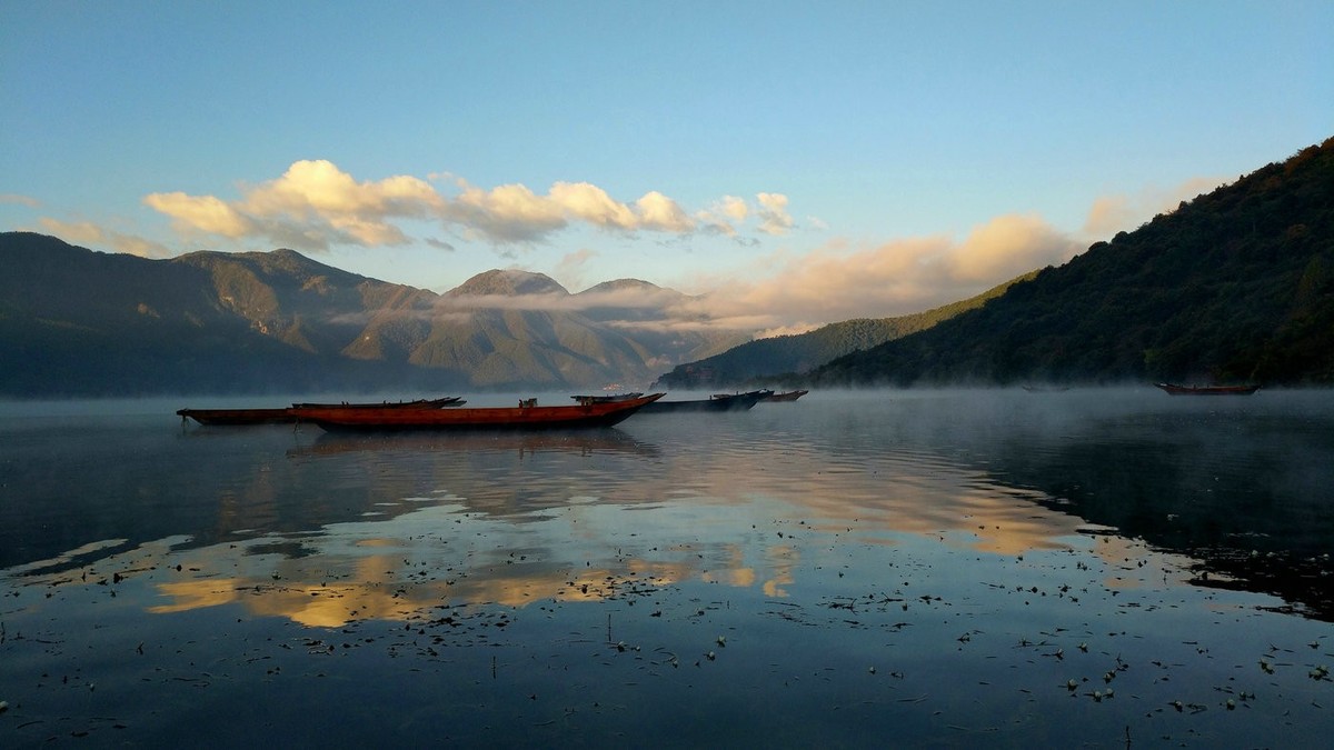 随拍【手机拍摄】
