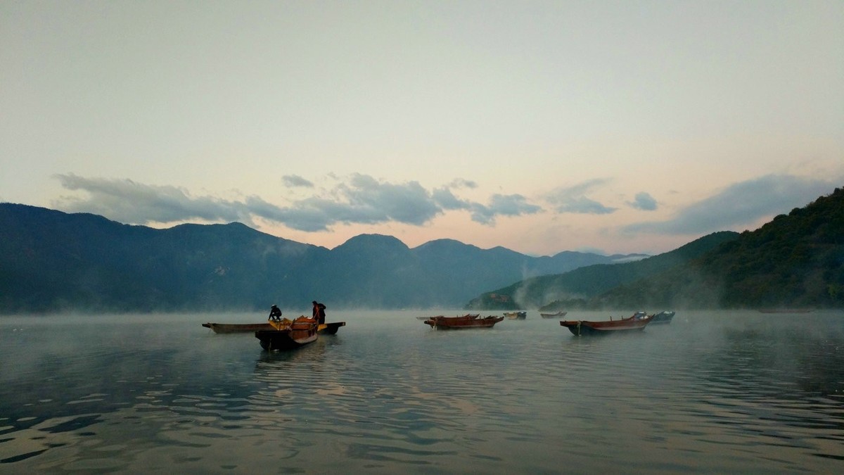 随拍【手机拍摄】