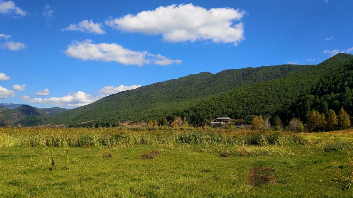 随拍【手机拍摄】